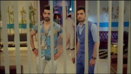 Banni Cow Home Delivery - 10th October 2022